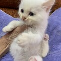 里親さま決まりました☆