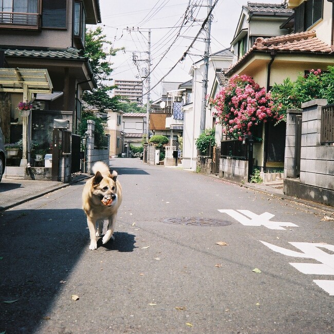 Go takeのカバー写真