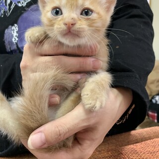 里親さま決まりました☆