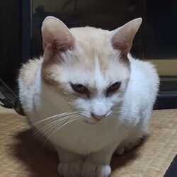 安心しています