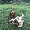 すみのぶき