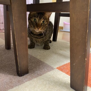 氷の心が溶けてきました