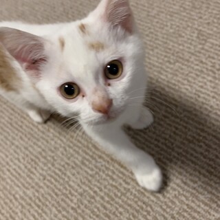 ヤンチャな男の子♪