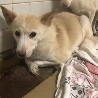 収容期限1週間です、、4日朝迄