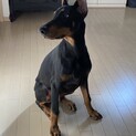 応募多数のため一時中断します。