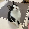 足が短くずんぐり体型がかわいい男の子♡