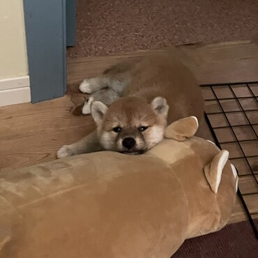の写真