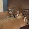 の写真