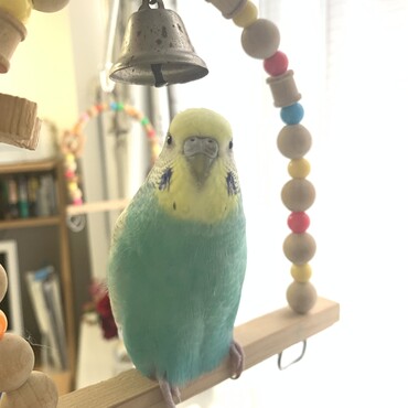 の写真