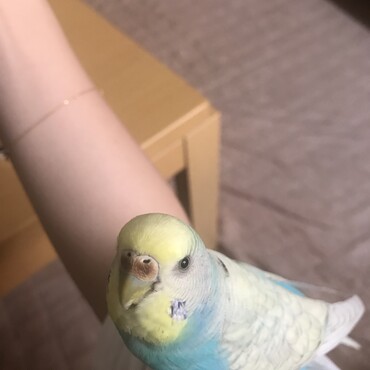 の写真