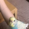 の写真