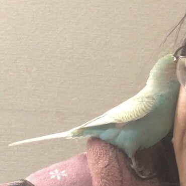 の写真