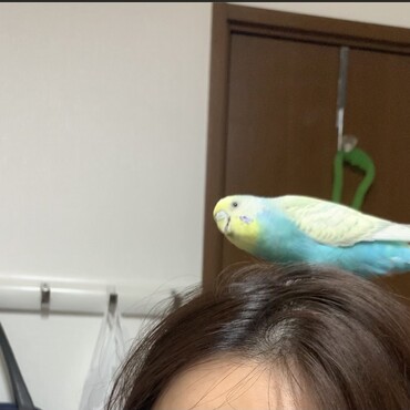 の写真
