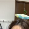の写真