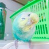 の写真
