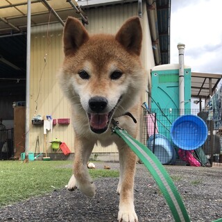 笑顔のあゆみちゃん
