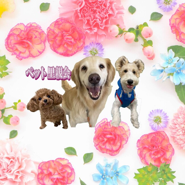 ペット里親会のカバー写真