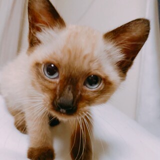 11/7西千葉ෆ⃛まめくんと一緒にෆ⃛つぶくん