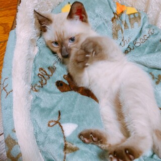 11/7西千葉ෆ⃛つぶくんと一緒にෆ⃛まめくん