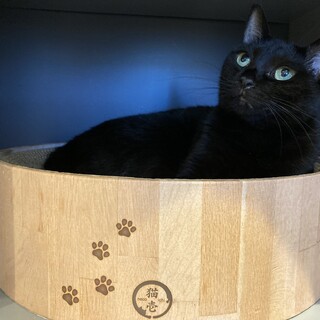 【のぞみ】いつもご機嫌♪