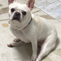 ニイラ