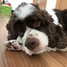 天真爛漫!遊び盛りのお年頃？人懐っこいはぴちゃん サムネイル3