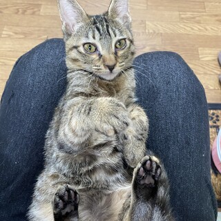 ☆おっとり甘えん坊なピノちゃん☆