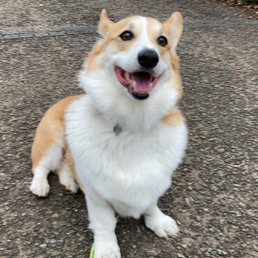 の写真