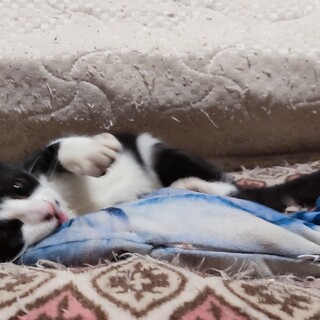 名古屋城生まれ少しシャイな「吉宗」3ヶ月