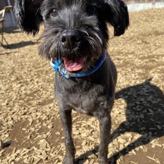 思い切り甘えたい♡Juicy