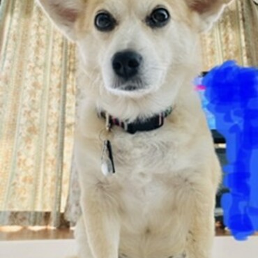 の写真