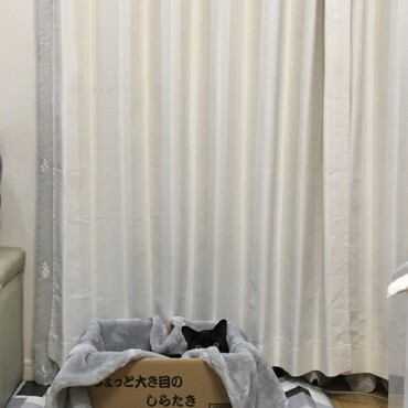 しゅうちゃんのお気に入り♡