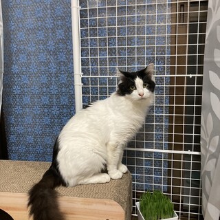 〝ボク君〟です♪