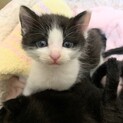 ★フワフワの甘えん坊な男の子★