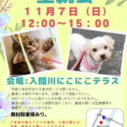 犬猫里親会～入間川にこにこテラス