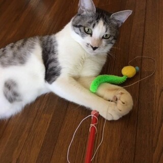 甘えん坊の男の子