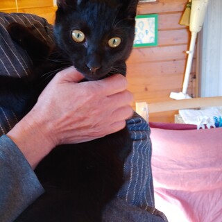 ボクはキャンだよ！