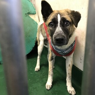 諸事情により募集を終了しました