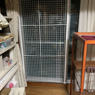 の写真