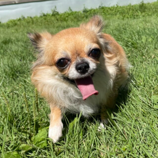 素敵な家族ができました、ありがとうございました♪