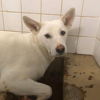 センターに収容され8日の朝までが期限です