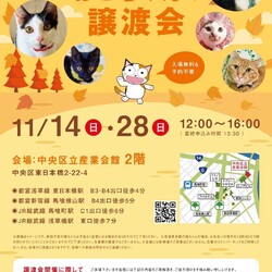 ねこざんまい譲渡会@東日本橋