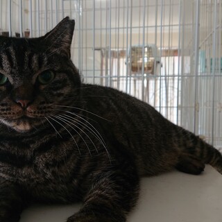 まおちゃん  されるがままの甘えん坊