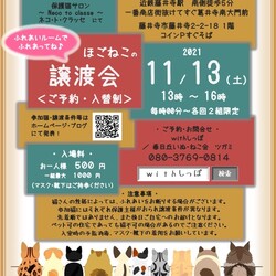 大阪ほご猫の譲渡会