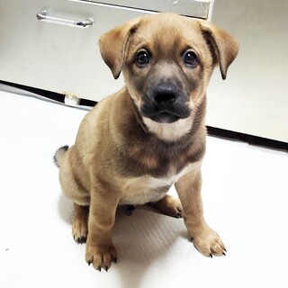 トライアル決定致しました！