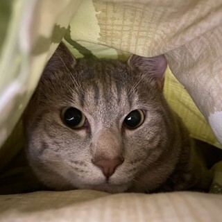 元気で甘えん坊だけど勇敢な男の子