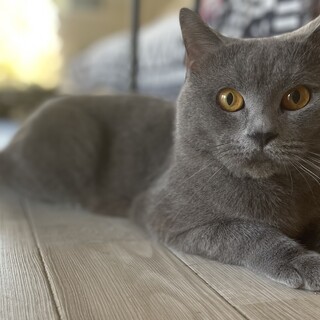 交渉中。とっても人懐っこいグーちゃん