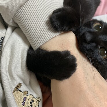 の写真