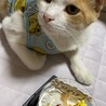 まゆまゆぱんだ
