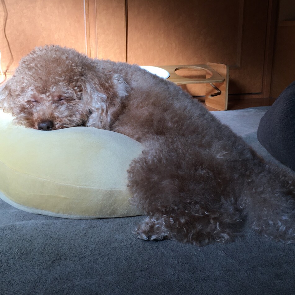 よもぎのカバー写真